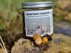 MESSEPREIS: Tainted Tigers - Squid - Stinky Stuff